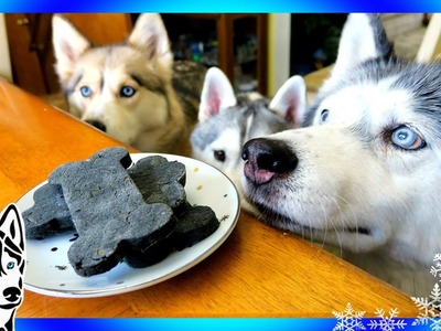 DIY DENTAL DOG TREATS | DIY Dog Treats | Snow Dogs Snacks 64 | Dental Chews