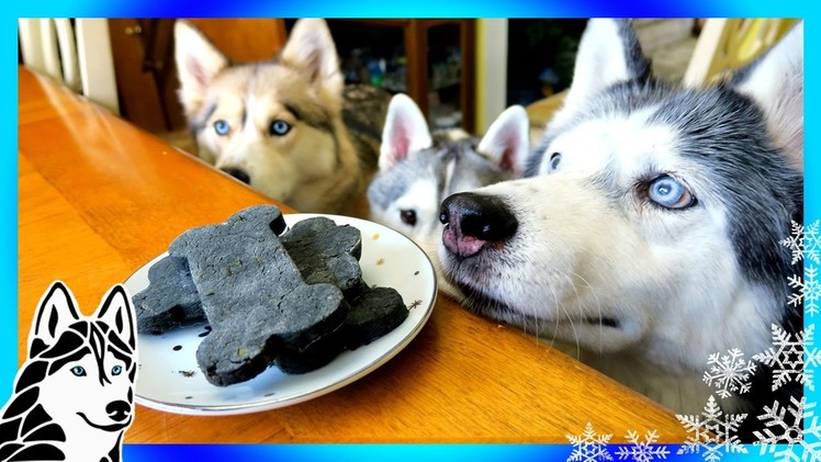 DIY DENTAL DOG TREATS | DIY Dog Treats | Snow Dogs Snacks 64 | Dental Chews