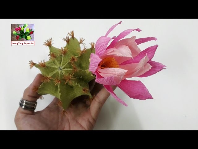 DYI   How to make paper flower   Cactus by crepe paper