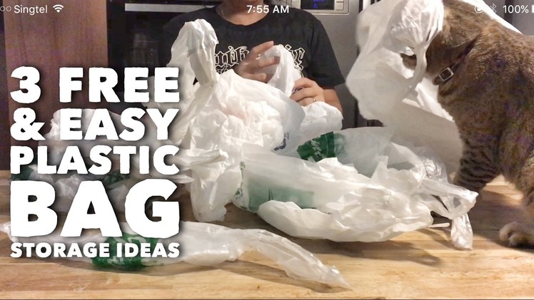 Kitchen Hacks: 3 Free & Easy DIY Plastic Bag Storage Ideas