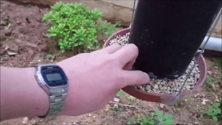 How to make a huge DIY automatic bird feeder !!!!!!