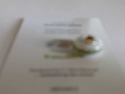 Fenton Art Glass Artisan Crafted Bead - Granddaughter - Charm Bracelet Jewelry