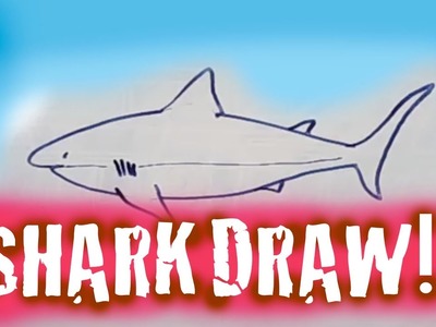 DRAW A SHARK!! EASY DRAW!