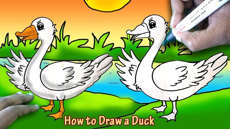 How to Draw a Duck Easy Art and Shade