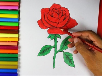 How to Draw a Rose Easy