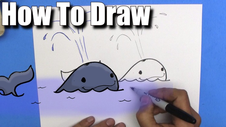 How To Draw a Whale - EASY - Step By Step