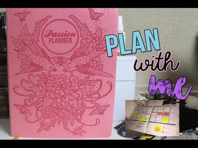 PLAN WITH ME: HOW I PLAN IN MY PASSION PLANNER (2017)