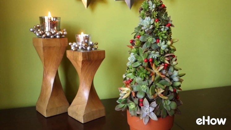 How to Make a Succulent Christmas Tree