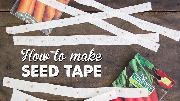 How to Make Seed Tape | A Thousand Words