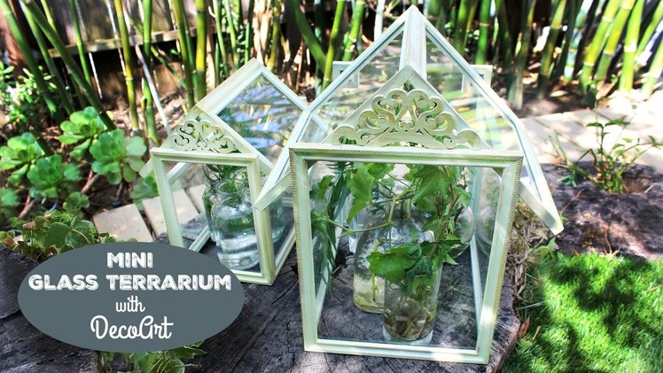 HOW TO: Mini Glass Terrariums