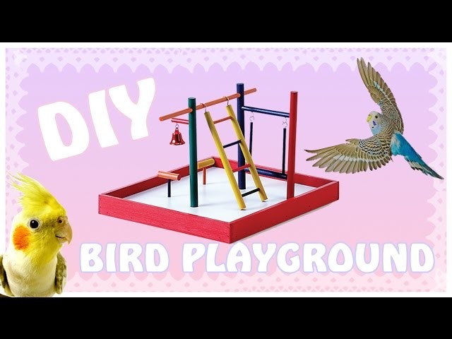 ☆DIY Bird Playground ☆|| Watch me Build