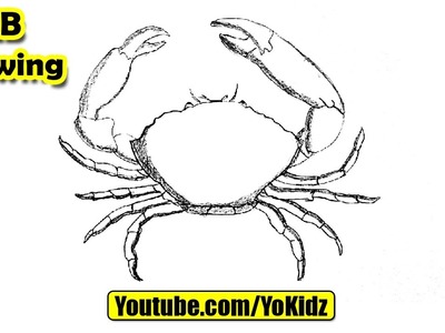 How to draw a Crab