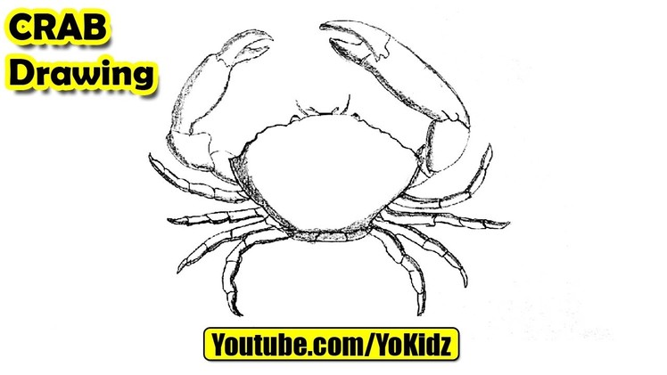 How to draw a Crab