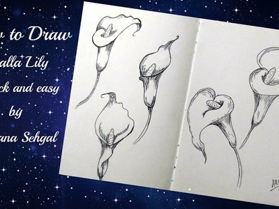 How to draw calla lily quick and easy