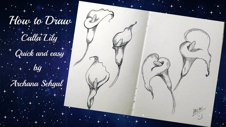 How to draw calla lily quick and easy