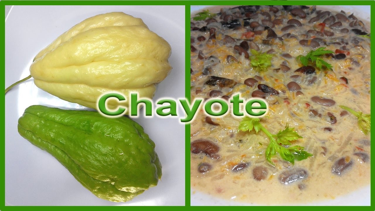 How to eat squash chayotes. Uses of squash (Chayote, Mirliton, Sechium ...