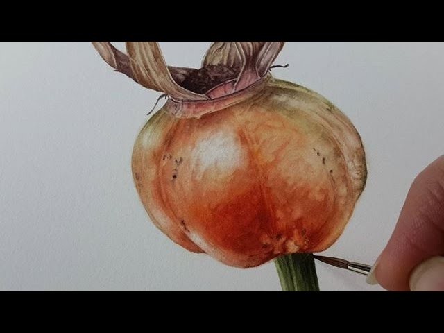 How to Paint a Ruby Rosehip in Watercolor | Jarnie Godwin Art