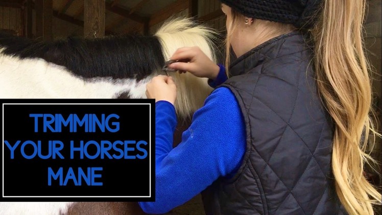 How to Trim Your Horses Mane