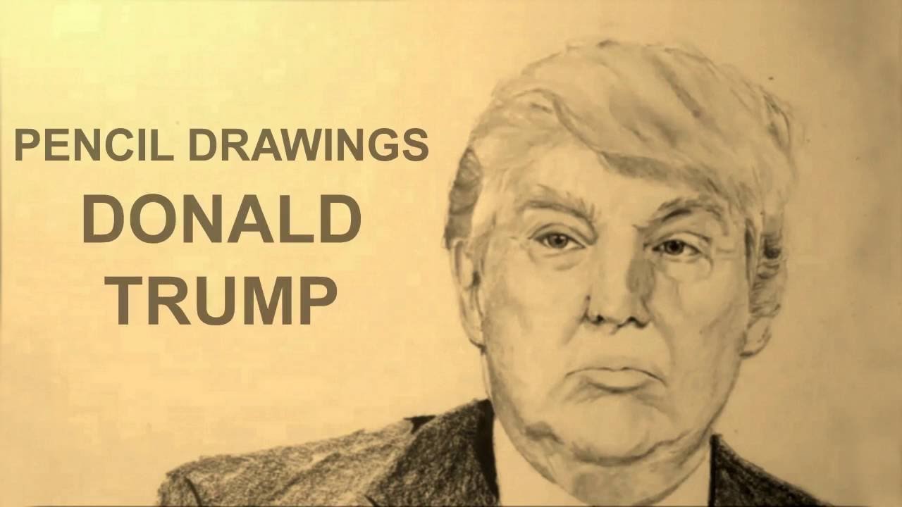 Pencil Drawings: How to Draw realistic Donald Trump