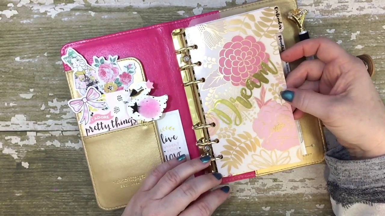 Planner: Feb 2017 Set-Up using DIY Fish Inserts & Annie Plans Printables