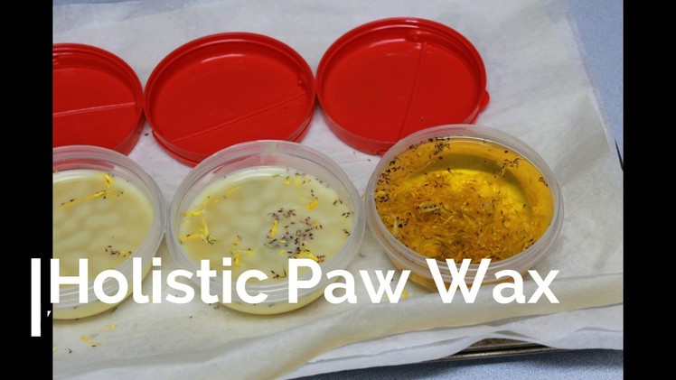 Dog Paw Protector DIY Paw Wax