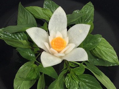 How To Make Beautiful White Radish Flower Carving Garnish - Fruit & Vegetable Carving Design