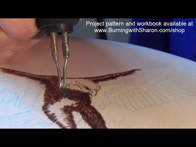 Pyrography: How to Woodburn an Eagle Part 1 – Torso, Black Feathers, and White Feathers