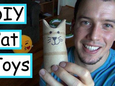 5 DIY Cat Toys Using Household Items | EASY + CHEAP