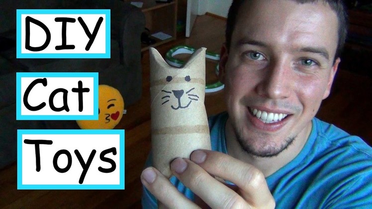 5 DIY Cat Toys Using Household Items | EASY + CHEAP