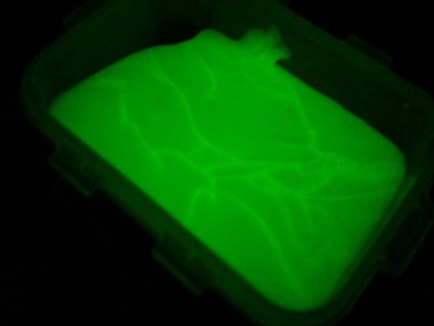 Cara Membuat Metallic Glow In The Dark Slime