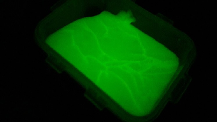 Cara Membuat Metallic Glow In The Dark Slime