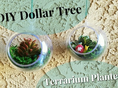 DIY Dollar Tree Terrarium Planters