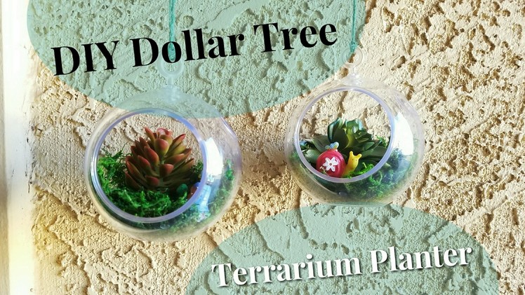 DIY Dollar Tree Terrarium Planters