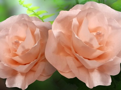 Easy Peach Crepe Paper Hybrid  Rose
