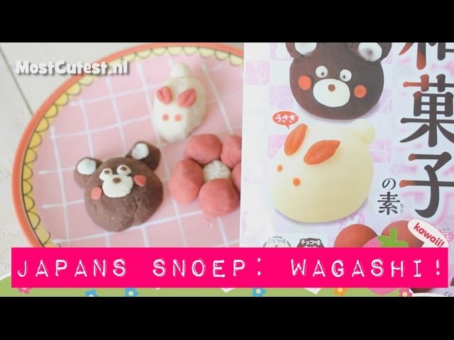 Japans snoep! Kawaii DIY Candy Kit Wagashi Flower&Bear van MostCutest.nl ^__^ (gesloten)