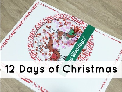 12 Days of Christmas Cards *Day 4* Shaker Card!