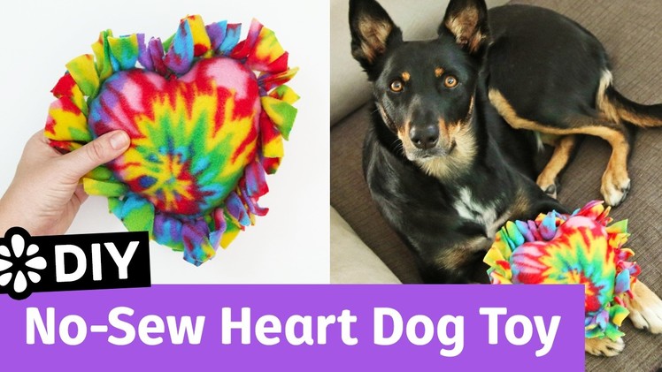 DIY No-Sew Heart Dog Toy | It's All Love Collab | Sea Lemon