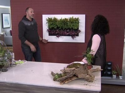 Chic 'live art' installments + DIY drift wood succulents