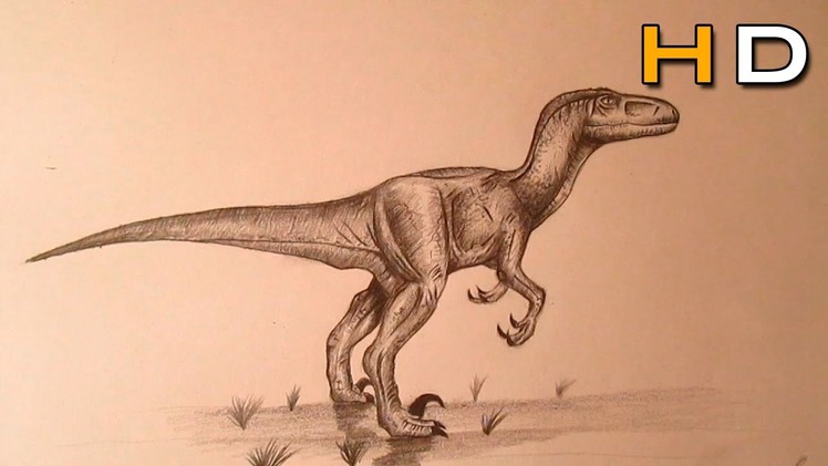 How to Draw a Velociraptor Step by Step With Pencil - Timelapse