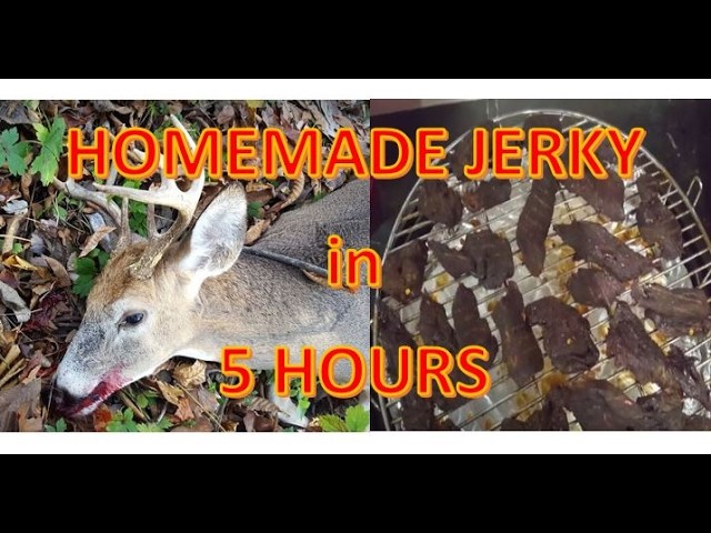 How to make STORE BOUGHT JERKY from Raw Meat in 5 hours!