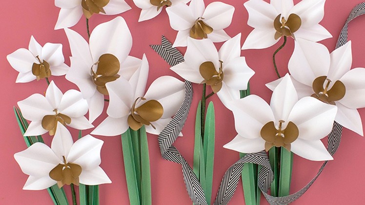 Make a Paper Flower Cymbidium Orchid Plant