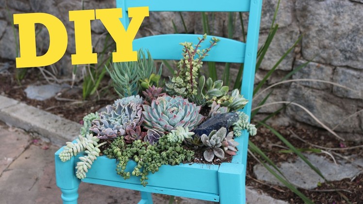 Succulent Chair | Succulent Planter DIY | DIY with Caitlin