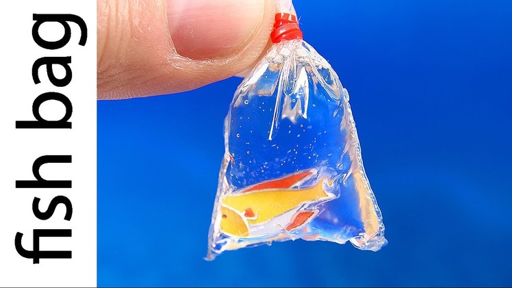 DIY Miniature Fish in a Bag
