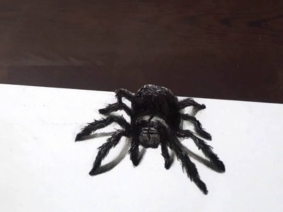 3D Spider Drawing -AMAZING realistic illusion!!!