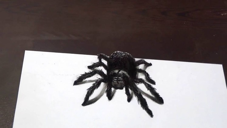 3D Spider Drawing -AMAZING realistic illusion!!!