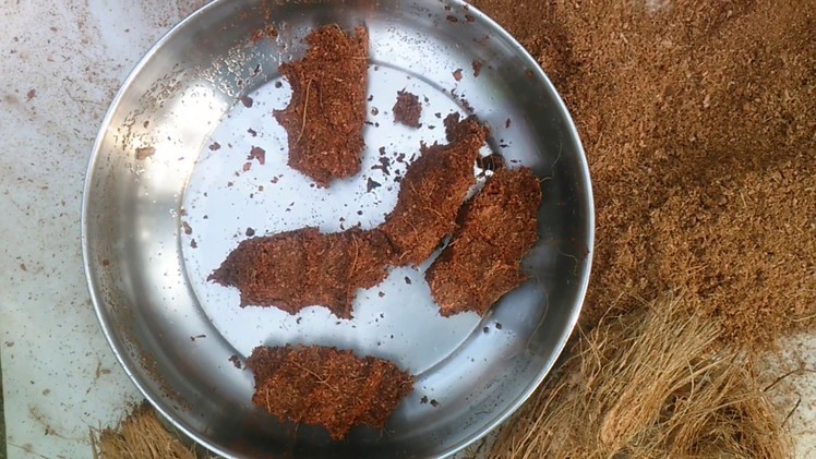 HOW TO MAKE COCO-PEAT FROM COCO COIR (in BENGALI)||FOR GARDENING||