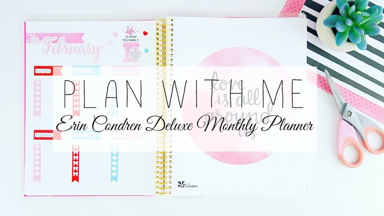 Erin Condren Deluxe Monthly Planner: Plan With Me