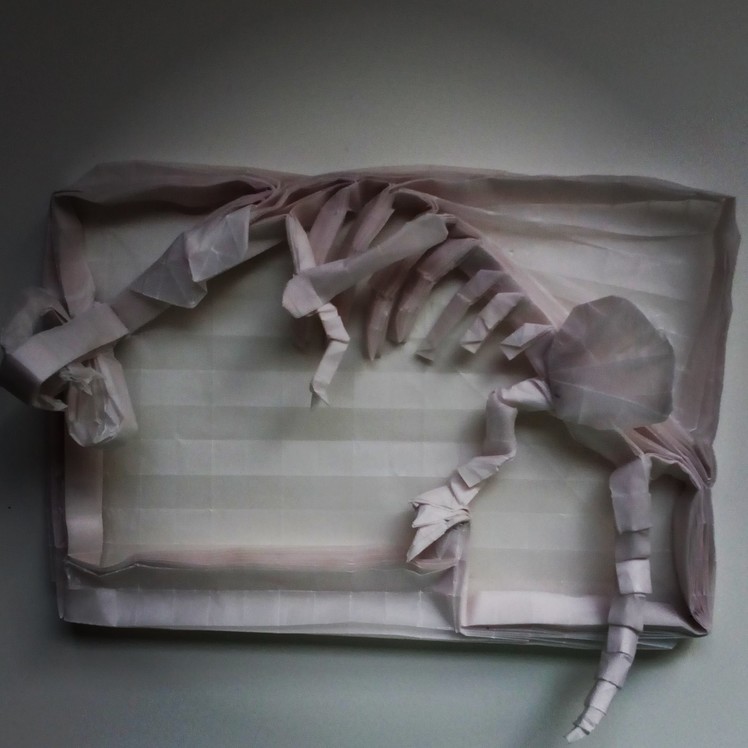 Origami Dinosaur Skeleton Time Lapse