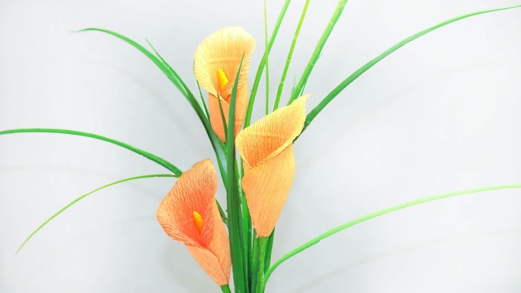 25: Làm hoa RUM bằng giấy nhún - How to make Calla lilies paper flower