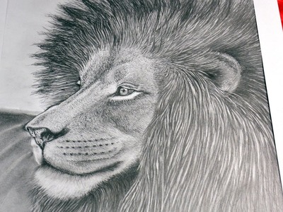 Art Lesson:  How to Draw a Lion with Graphite Pencils